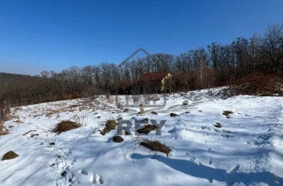 Teren intravilan 600 mp de vânzare în Cisnădioara – utilități în zonă