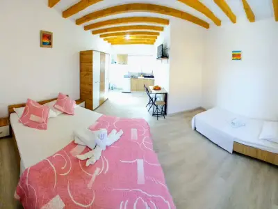 Business Airbnb activ, Superhost cu rating 5★ constant de 5 ani|en|Turnkey tourist vi