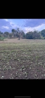Teren intravilan 4200 mp Dubistea de Padure langa Hodac|en|Urban land 4200 sqm Dubist