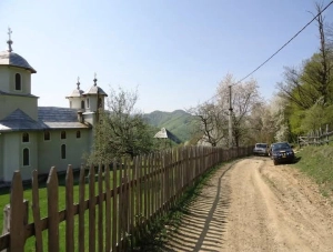 Casa cu 6 hectare teren langa Cugir judet Alba zona de munte|en|House with 6 hectares