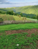 Casa cu 6 hectare teren langa Cugir judet Alba zona de munte|en|House with 6 hectares