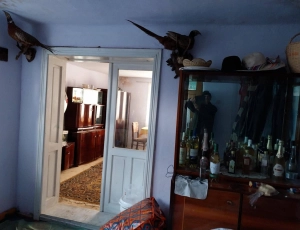 Casa cu 6 hectare teren langa Cugir judet Alba zona de munte|en|House with 6 hectares