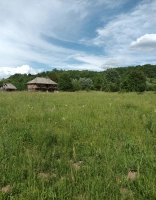 Teren intravilan Aninoasa Argeș | 5000 mp | Fnt 100 ml | Ideal construcție|en|Urban