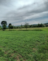 Teren intravilan Aninoasa Argeș | 5000 mp | Fnt 100 ml | Ideal construcție|en|Urban