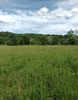 Teren intravilan Aninoasa Argeș | 5000 mp | Fnt 100 ml | Ideal construcție|en|Urban