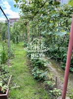 Casă Sibiu Turnișor | 8 camere | 515 mp teren | Subsol + curte|en|House Sibiu Turnișo
