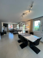 Vilă / cabană Păltiniș cu piscină încălzită | 10 camere | business la cheie|en|Villa