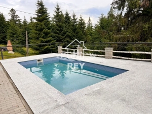 Vilă / cabană Păltiniș cu piscină încălzită | 10 camere | business la cheie|en|Villa