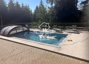 Vilă / cabană Păltiniș cu piscină încălzită | 10 camere | business la cheie|en|Villa