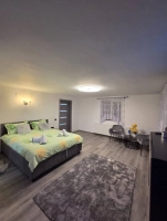 Cabana Baia Mare (Bușag) | Jacuzzi | 5 dormitoare | 10-12 pers | Regim hotelier|en|Ba