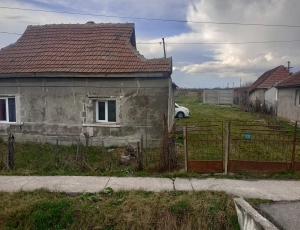 Teren intravilan 4200 mp + casă – Ciuperceni, Satu Mare|en|Urban land + house 42 ares