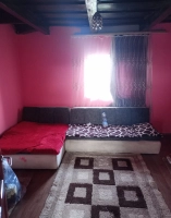 Teren intravilan 4200 mp + casă – Ciuperceni, Satu Mare|en|Urban land + house 42 ares