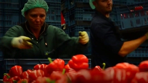 agricultura austria locuri munca|en|agriculture austria jobs|/enhu|mezőgazdaság
