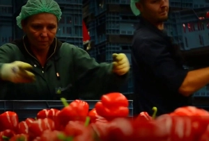 agricultura austria locuri munca