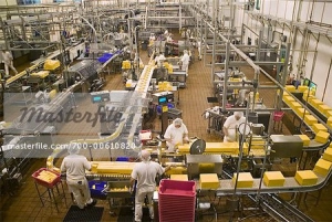 angajari fabrica lactate germania|en|dairy factory jobs germany|/enhu|tejüzemi