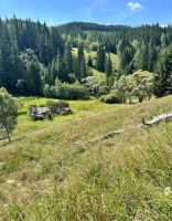 Teren intravilan la munte |en|Urban land in the mountains|/enhu|Vási földterü