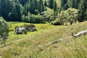 Teren intravilan la munte 