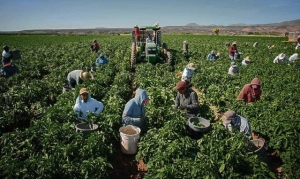 agricultura austria locuri munca|en|agriculture austria jobs|/enhu|mezőgazdaság