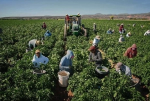 agricultura austria locuri munca