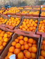depozite portocale germania angajari|en|orange warehouses germany jobs|/enhu|na