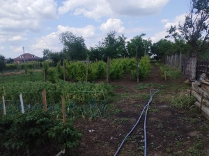 Casă + teren 1600 mp Hanu Conachi, Galați, acces la 2 străzi|en|House for sale Hanu C