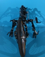 Handbike bicicleta de mana