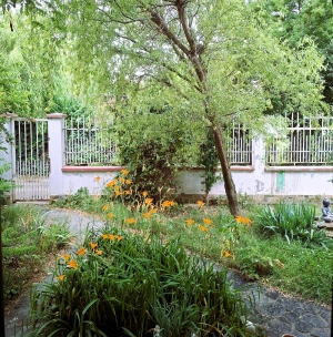 Vila Individuala Otopeni – Zona Lidl | 6 Camere (5 Dormitoare) | 223 mp | Garaj | Potential Bu