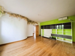 Vila Individuala Otopeni – Zona Lidl | 6 Camere (5 Dormitoare) | 223 mp | Garaj | Potential Bu
