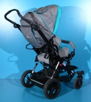 Carucior pentru copii cu dizabilitati|en|Stller for children with disabilities|/en