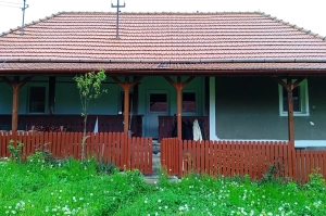 casa la tara cu teren aferent