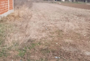 Teren intravilan 1000 mp Cosoveni – deschidere 13 m, utilități la limită