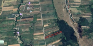 Teren extravilan 7194 mp – Hotar, Tetchea, deschidere 21 m|en|Land outside the city b