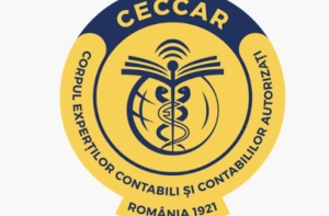 Expert contabil si Consultant fiscal