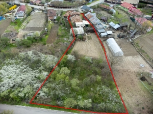 Casă P+M de vânzare în Buturugeni – teren 1700 mp|en|House for sale in Buturugeni|/e