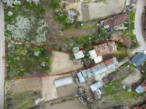Casă P+M de vânzare în Buturugeni – teren 1700 mp|en|House for sale in Buturugeni|/e