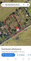 Casă + livadă 2600 mp | Dealu Budiului Mic | vedere panoramică|en|House + orchard 260