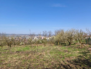 Casă + livadă 2600 mp | Dealu Budiului Mic | vedere panoramică|en|House + orchard 260