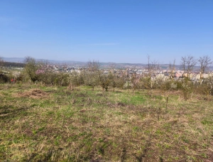 Casă + livadă 2600 mp | Dealu Budiului Mic | vedere panoramică|en|House + orchard 260