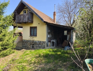 Casă + livadă 2600 mp | Dealu Budiului Mic | vedere panoramică|en|House + orchard 260