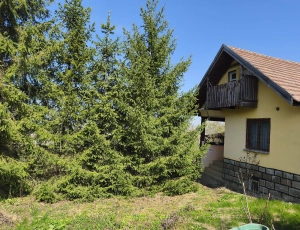 Casă + livadă 2600 mp | Dealu Budiului Mic | vedere panoramică|en|House + orchard 260