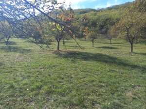 Teren 2300 mp Drum vechi al Pianului – intrare din ambele capete, utilități