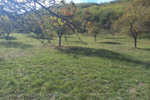 Teren 2300 mp Drum vechi al Pianului – intrare din ambele capete, utilități