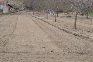 Teren in sat  Bacăinți