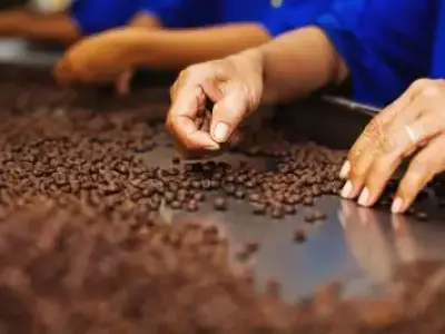 fabrica cafea germania