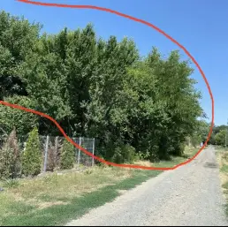 Teren de vânzare sat Ceacu jud. Călărași  