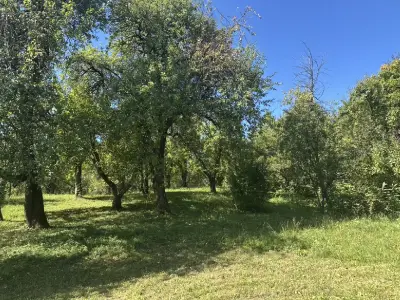 Vând urgent casă cu teren la munte!