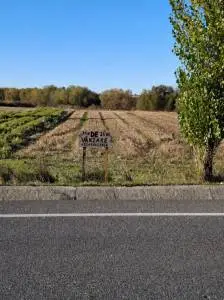 Teren intravilan 25 ari în Ilișești, Suceava, front 30 m, aproape de E60