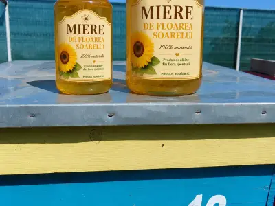 Vând miere de floarea soarelui