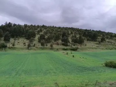 Teren intravilan de vânzare în Botoșani – 1.400 mp, 63 m deschidere, zona Drumul Tătarilor