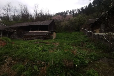 Casa + teren de vanzare in comuna Rozavlea